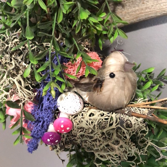 NEW Spring grapevine wreath succulent moss bird mushroom 🍄 cottage core - Picture 14 of 17